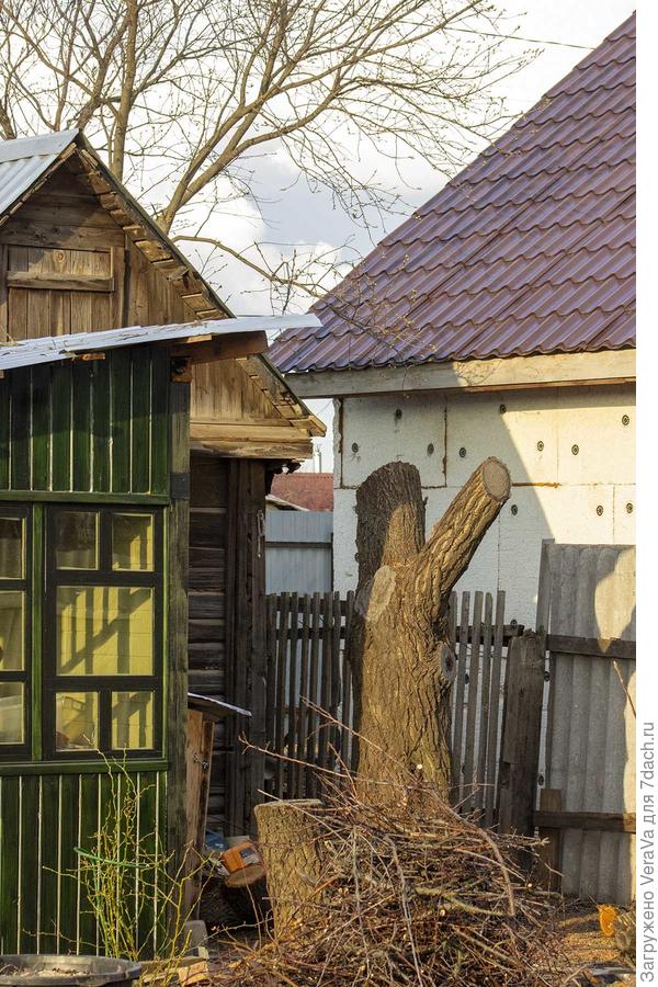Фото на другой день
