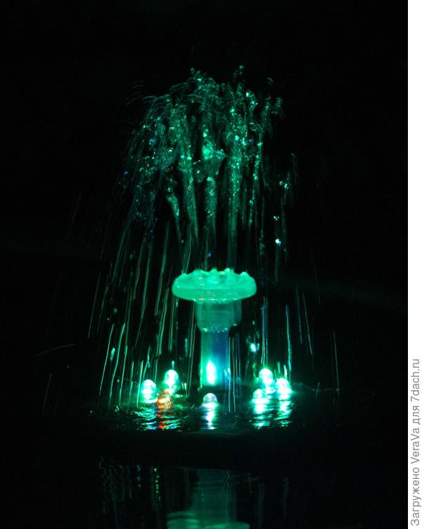 Плавает у меня в одной из тарелок