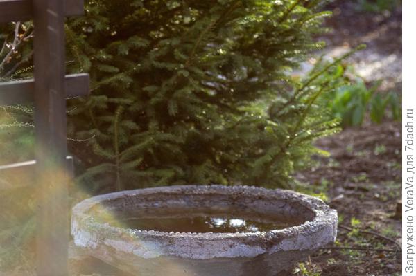 Новая тарелка, слепленная за зиму, под ёлкой