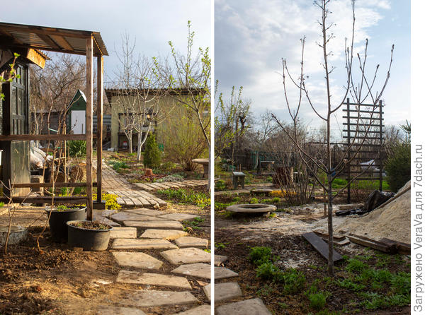 Вид прямо от калитки и чуть правее