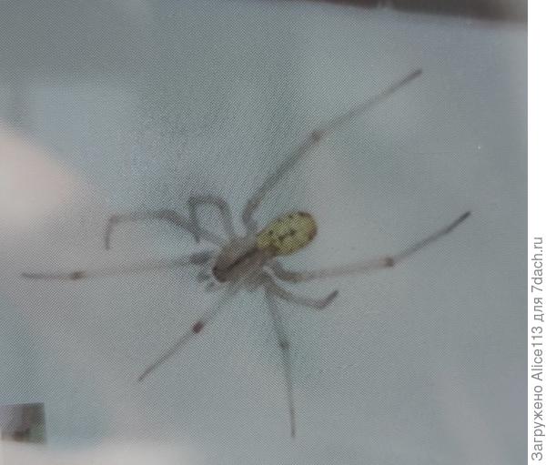 фото крупнее