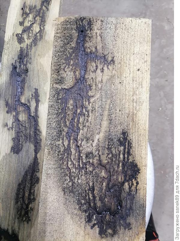 Вот так получилось, что за порода дерева не знаю, 2 доски, разные.