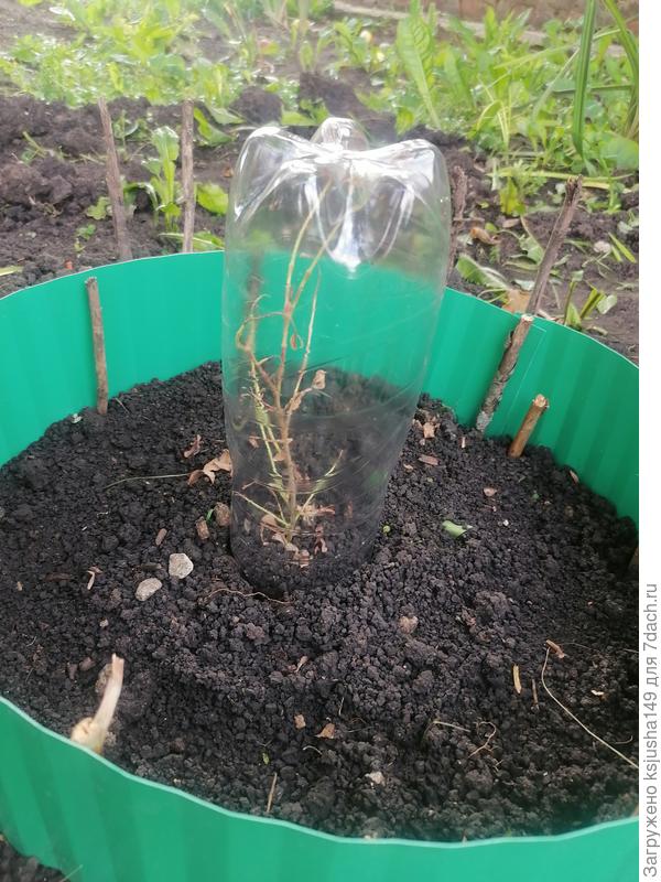 Такой парник подойдёт?