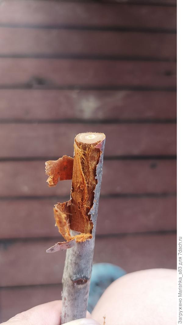 Поскребла верхний слой