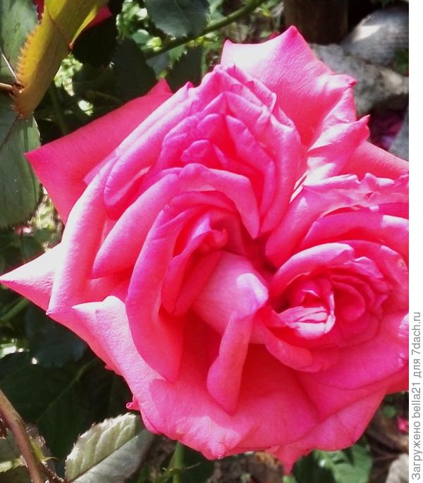 Фото2