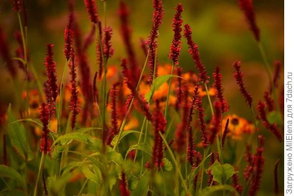 Вот, нашла у Валерия к нашему разговору.