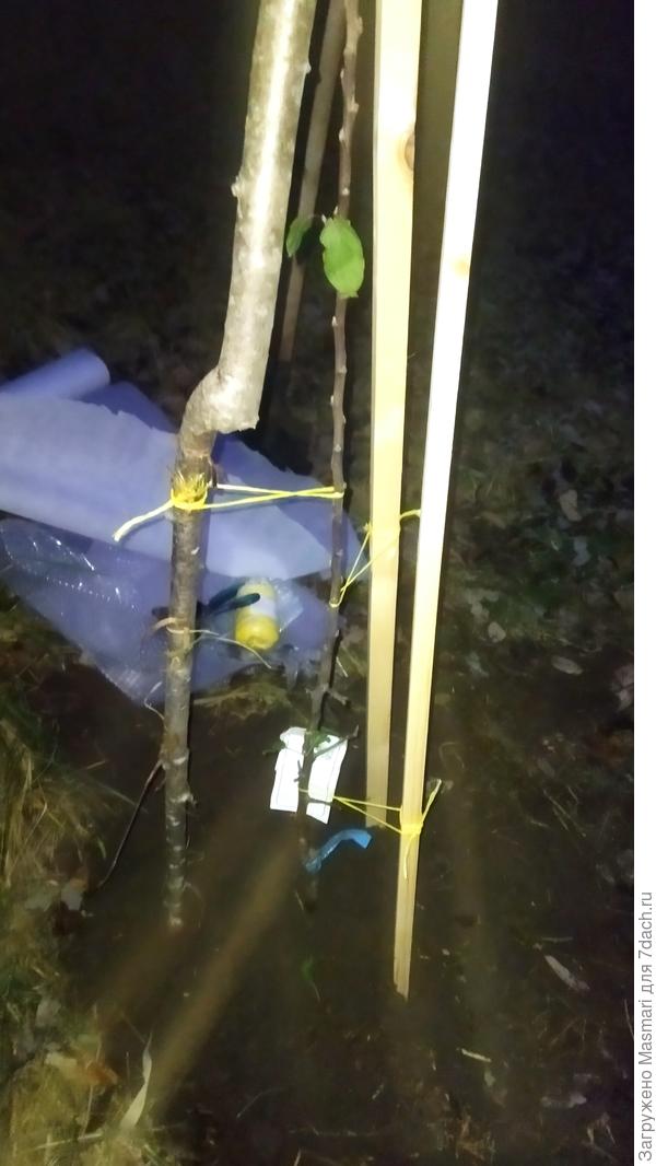 Один колышек сломался в процессе, заменила на попавшуюся под руку ветку