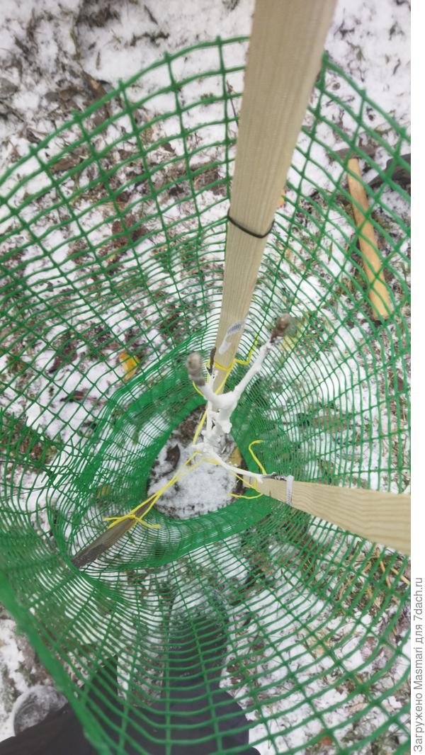 Схема укрытия