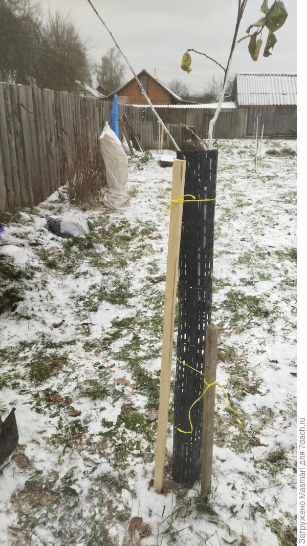 Упаковочка