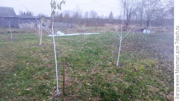 Первый этап. Побелка