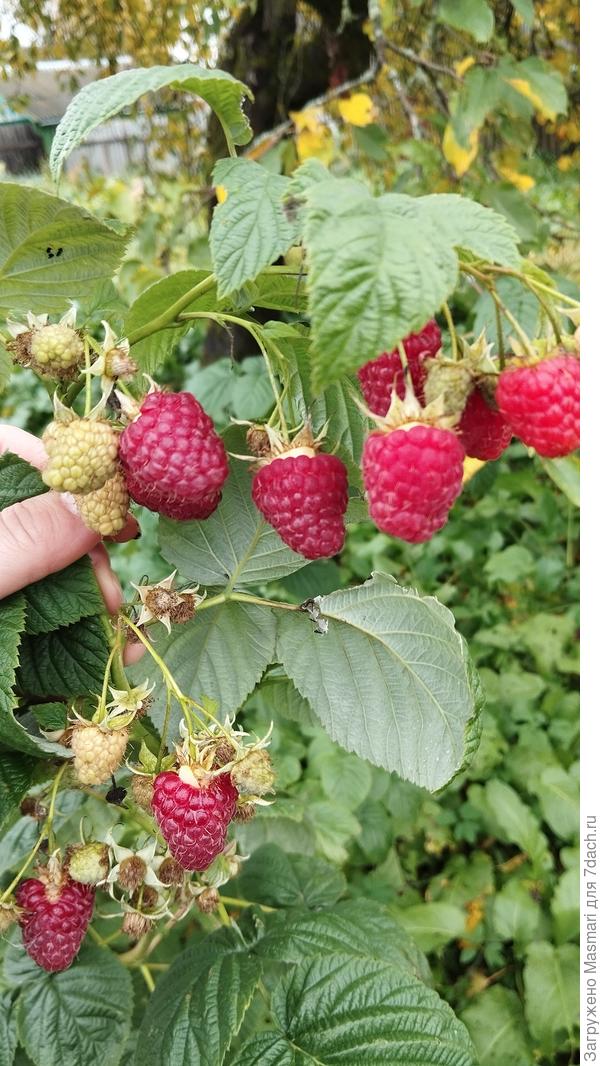 Красота то какая!