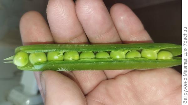 Горох - супер!