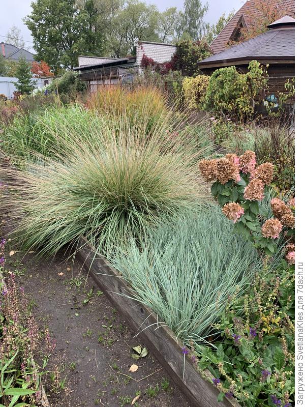 Кочка большая,  посередине, имени пока не знаю.