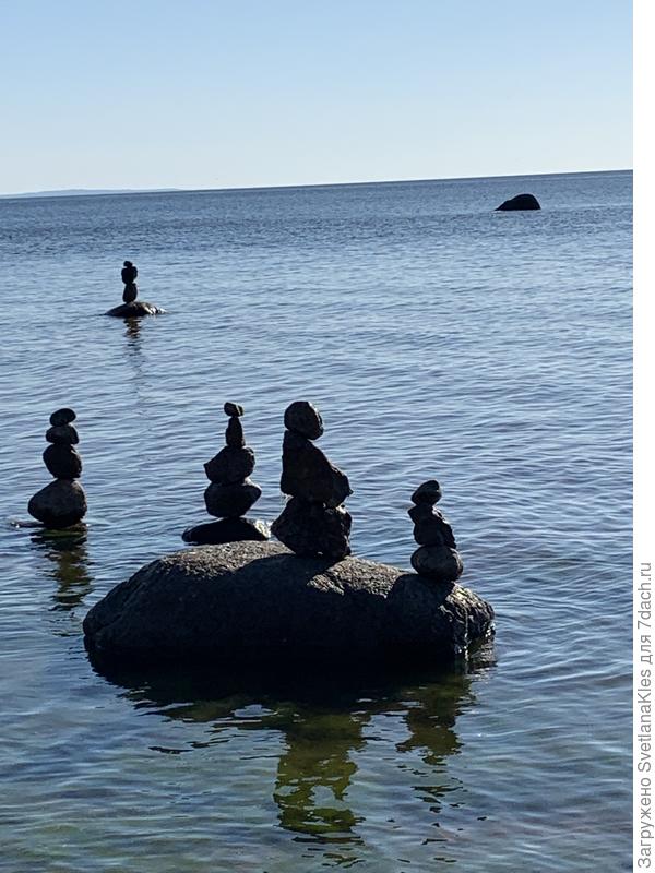 Сосновый Бор и его обитатели.