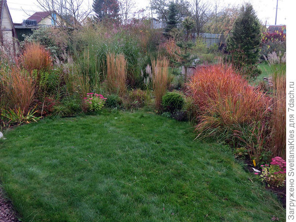 Прекрасный сад.