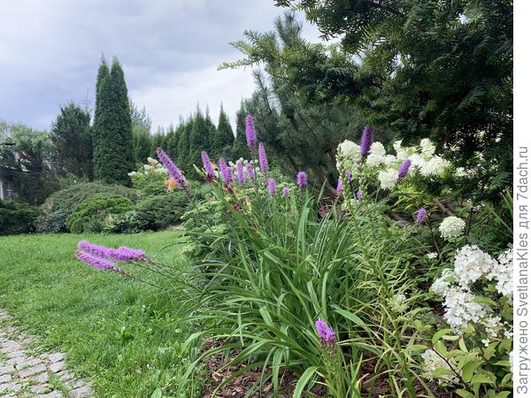 Здесь уже раскрылись.