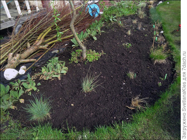 Цветник у дома.