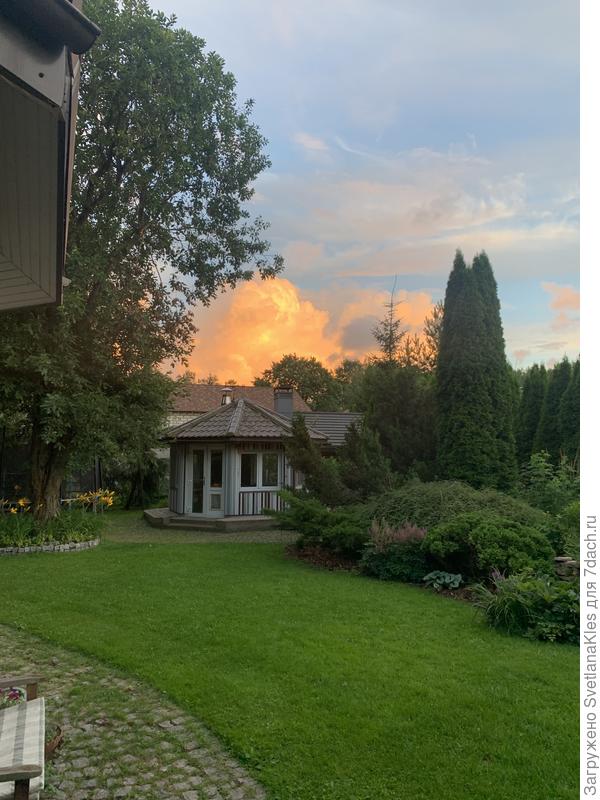 Облака, конец июля.