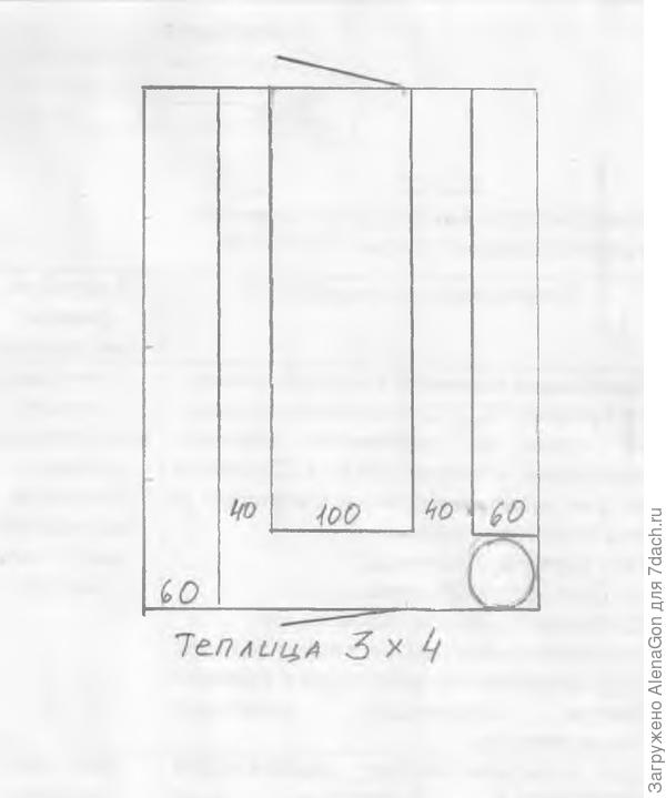 План грядок в теплицу