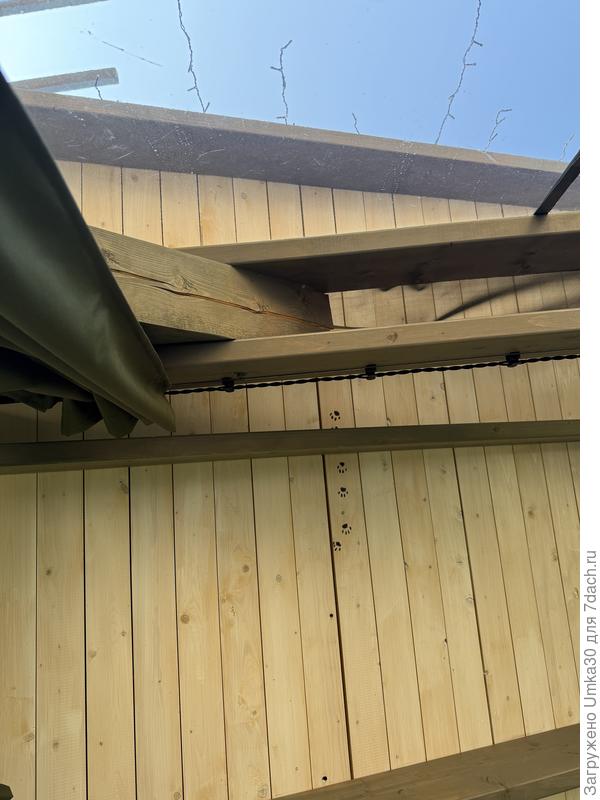 Когда я красила потолочные доски, оказалось что местный соседский 🐈‍⬛ котейка прошелся по ним)), честно я была счастлива! Лапки чуть более выделила цветом. Котика впустили первого в наше строение!