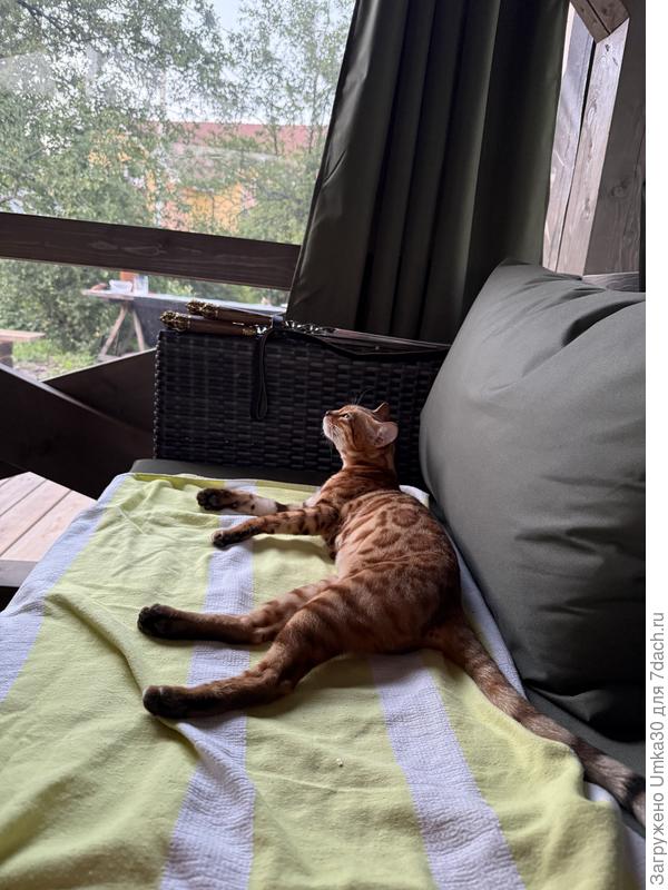 Эта фотография передает 💯 наше настроение, когда я с мужем сидя в строение, которое мы сделали. Мы любуемся, удивляемся как мы это смогли осуществить и конечно наслаждаемся!