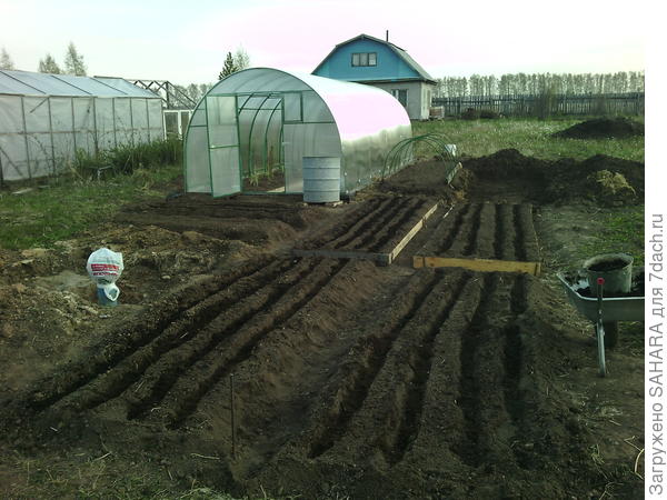 Скромное начало