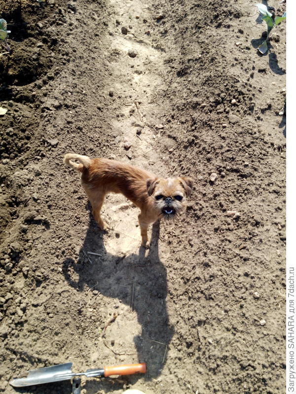 И в радости