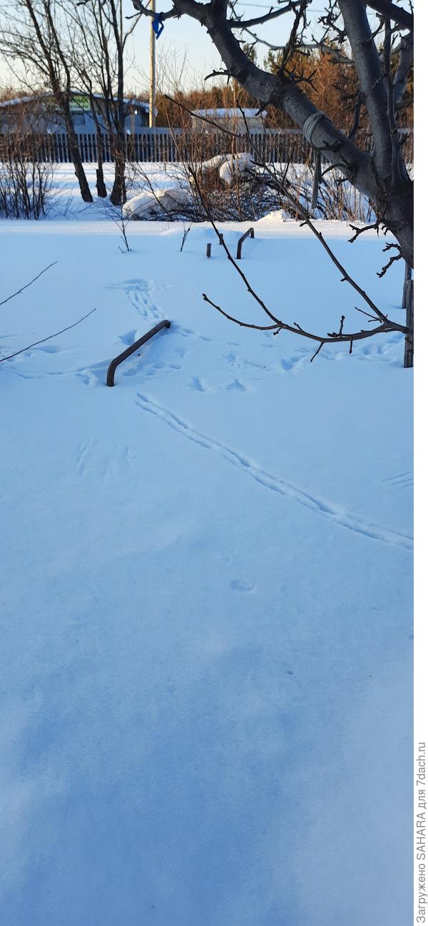 следы недавней драмы