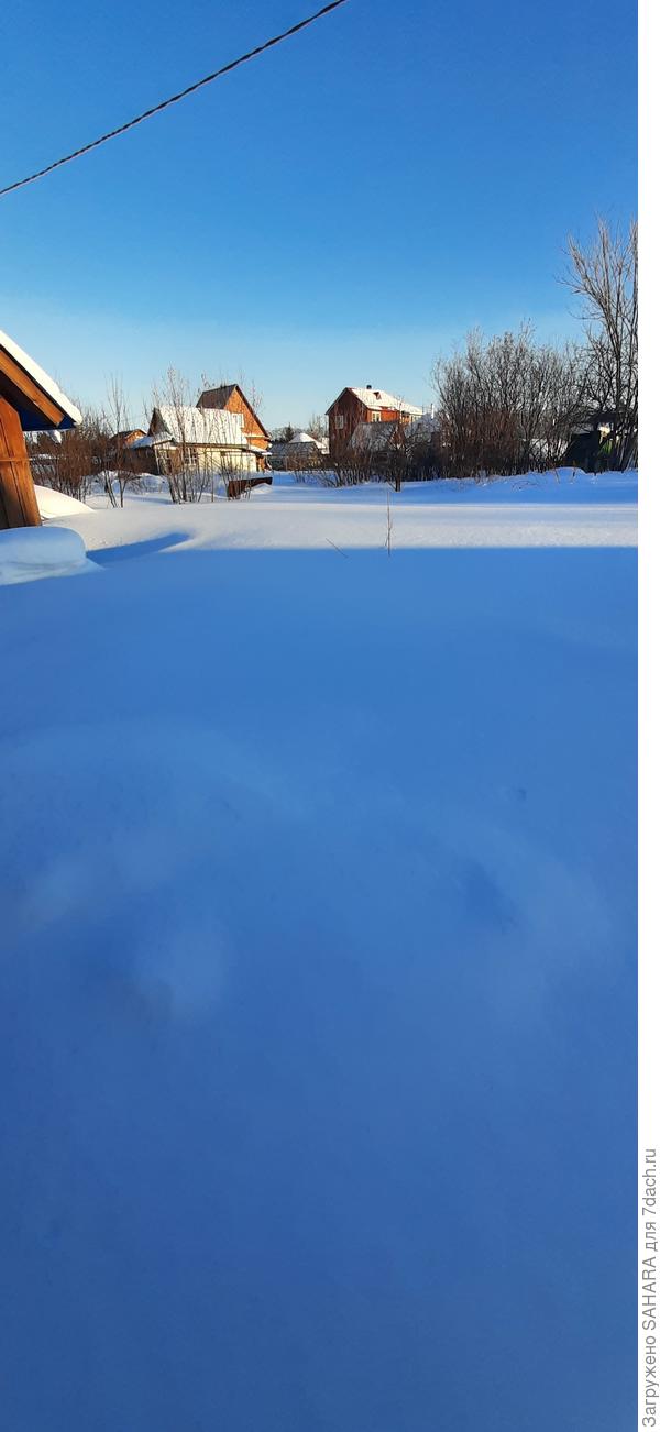 синее безмолвие