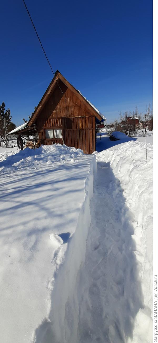 Пришлось поработать копателем.