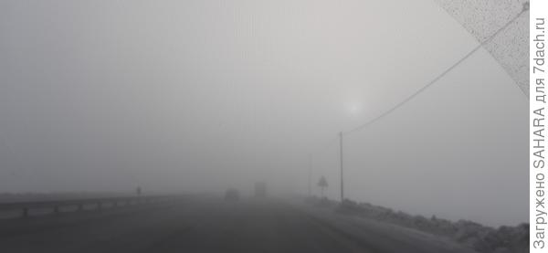 Где-то не в далеке бродит ежик)))