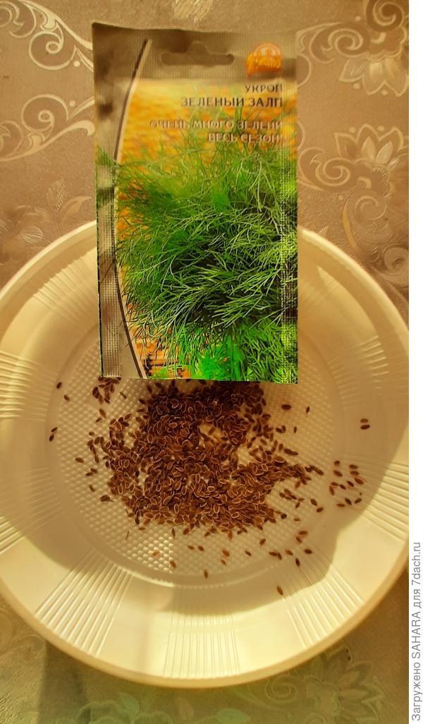 Семян много