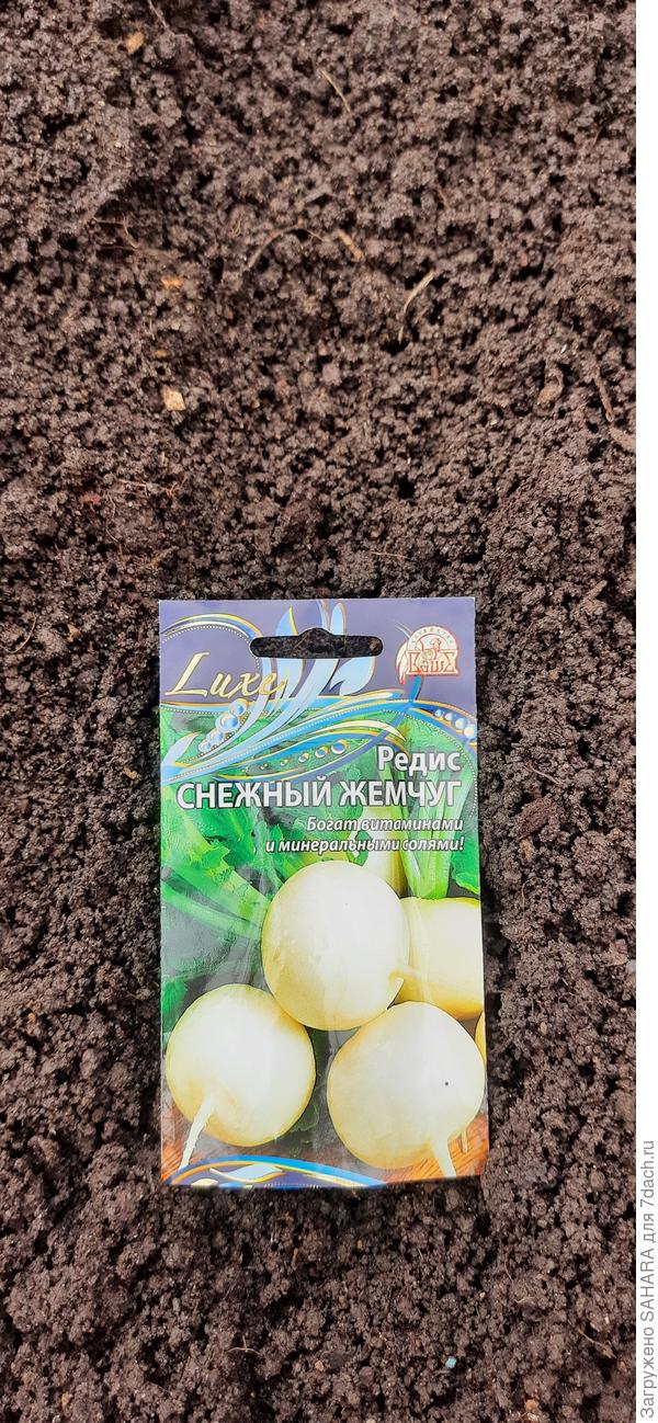 Место для редиса