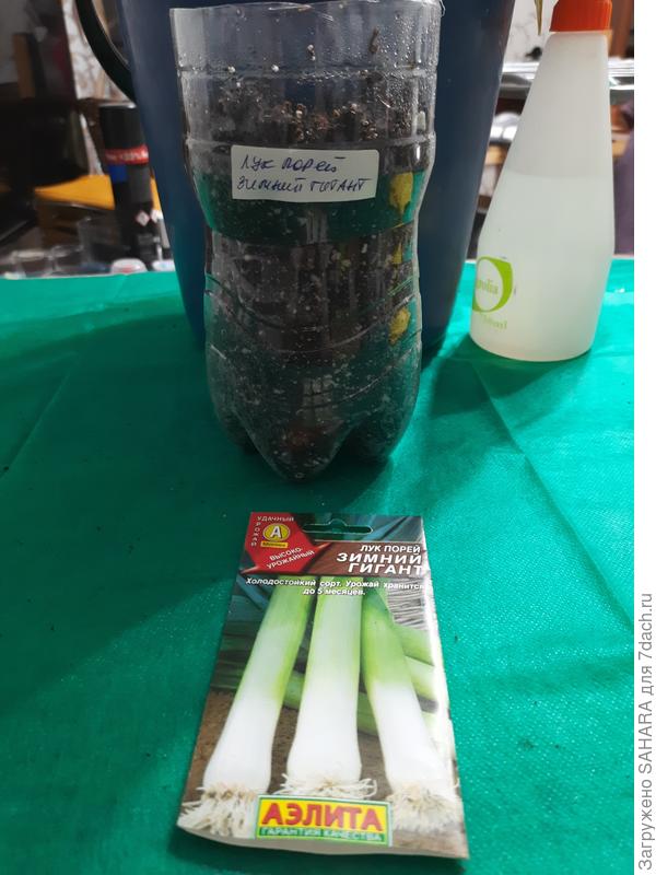 Один как и планировала в обрезанную бутылку от газировки