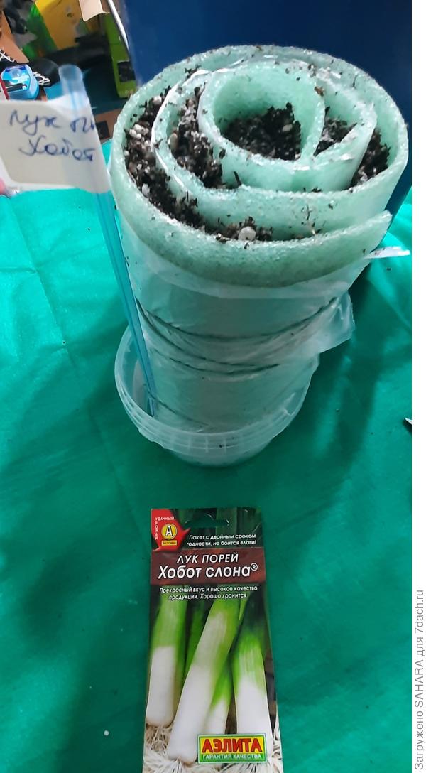 Со вторым решила поэкспериментировать - первый раз пробую посев в улитку