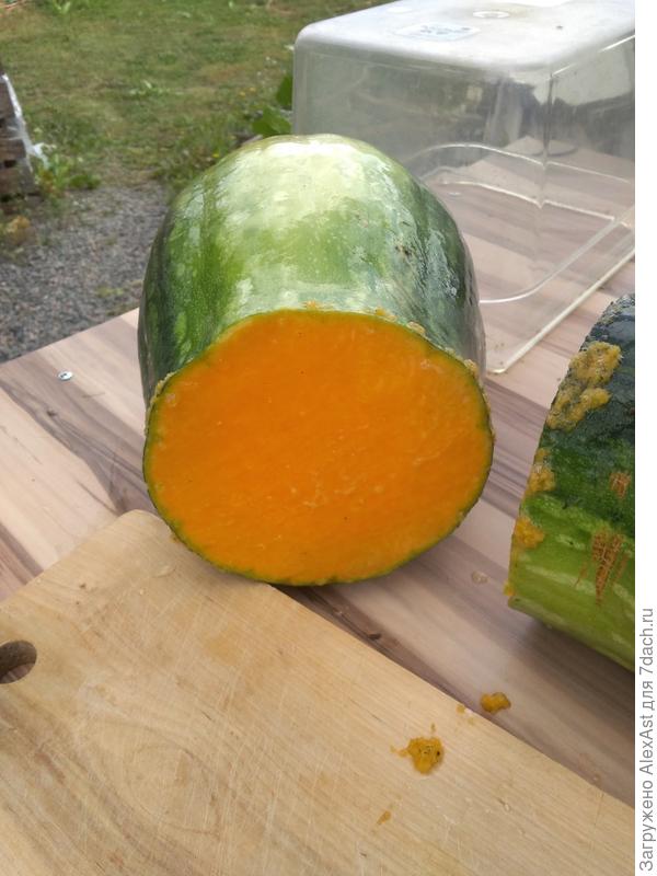 это тыква Августина, из которой цукаты готовились, из тыква мускат де Прованс получились тоже ничего