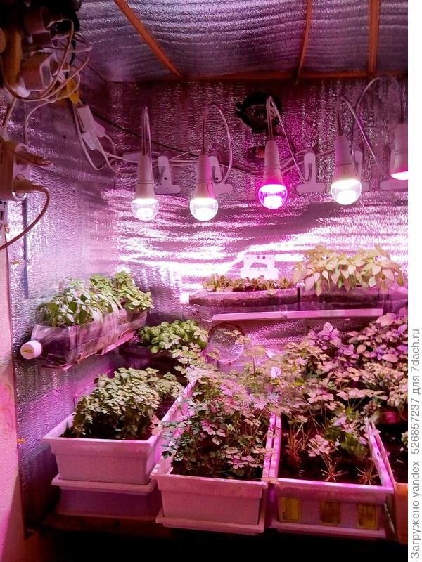 Гроубокс(фото3)