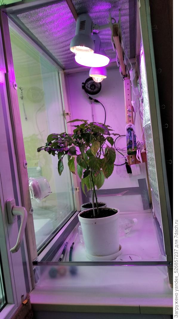 Гроутент(фото2)