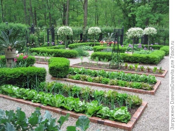 примеры регулярного сада с огородом