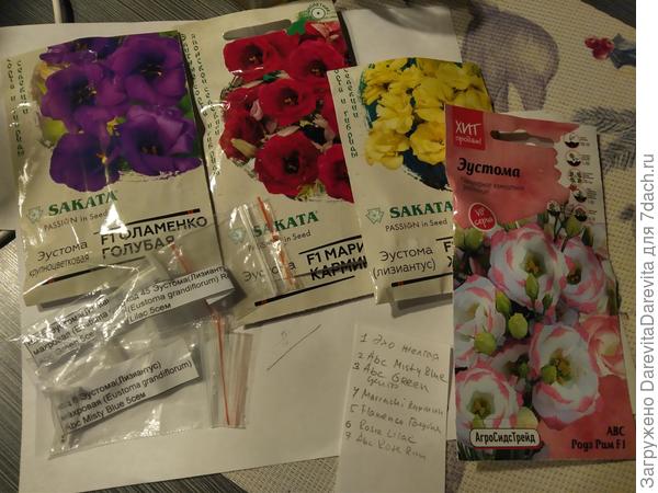 С трудом выбрала семь расцветок , Abc и Rosie от PanAm. Эхо, Фламенко и Мариачи от Sakata. Чем менее махровый цветок - тем больше шансов на успех.