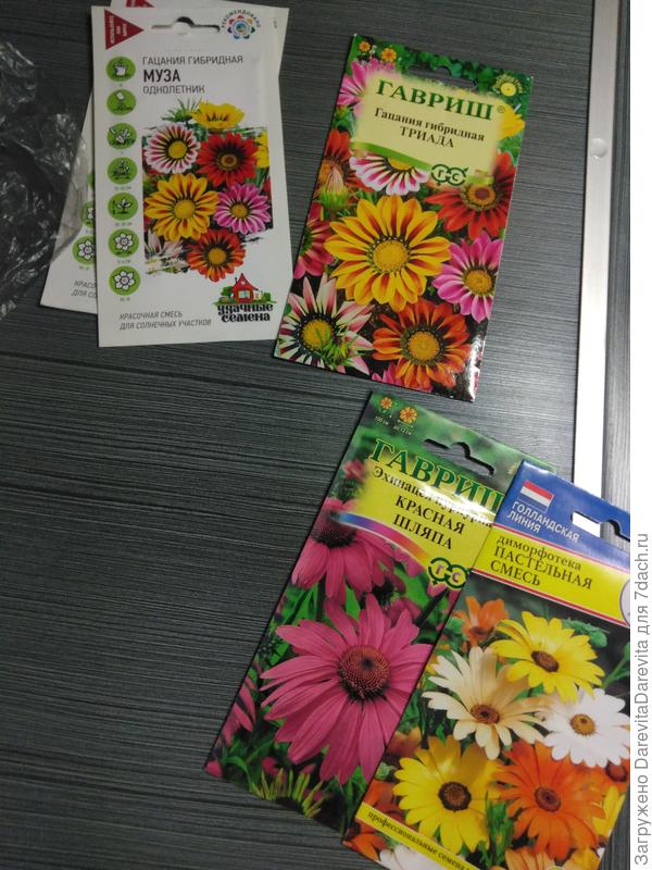 Кажется Муза и Триада между собой похожи...