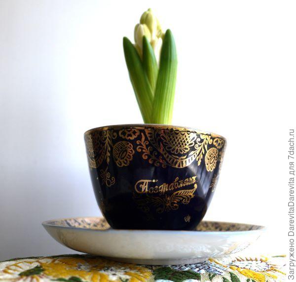 гиацинты к 8 марта