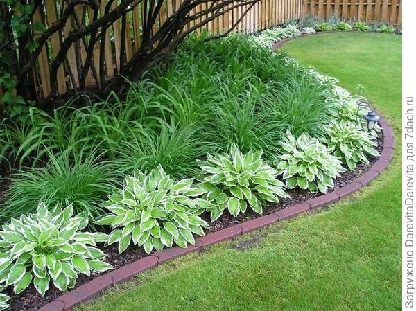 пример с формировкой кустов заднего плана