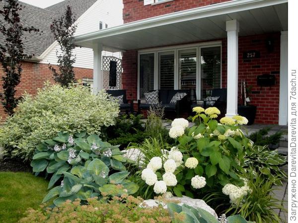 пример масштабов посадок, гвоздика скорее всего затеряется