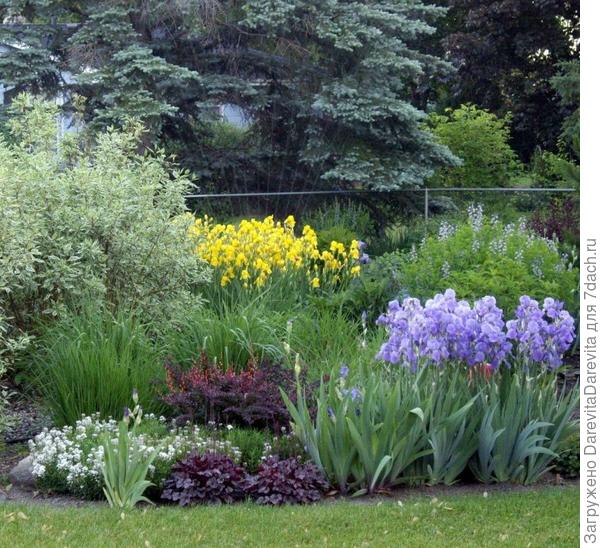 масштабы клумбы