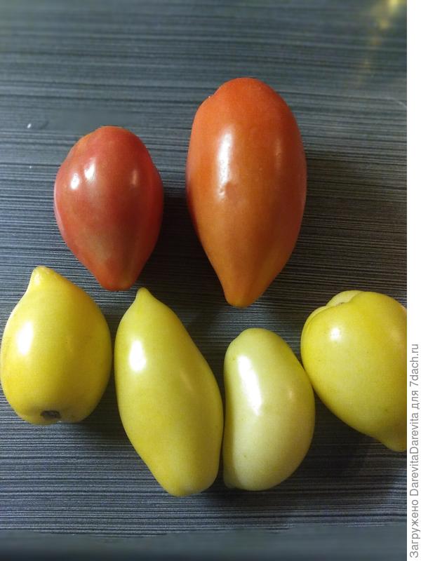 Спелые сосульки и Desperado