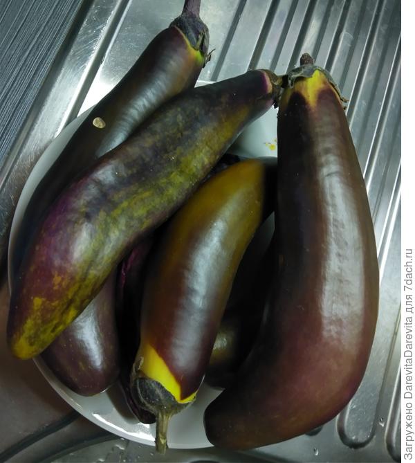 Король Севера