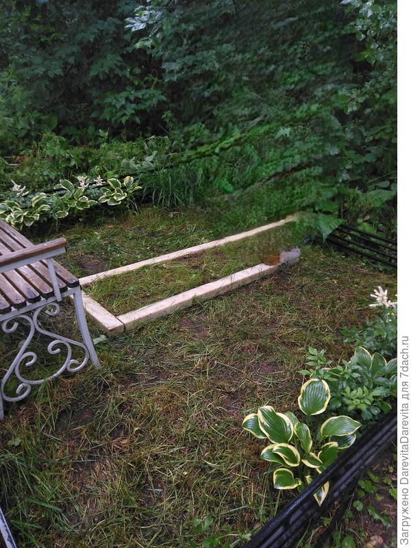 газон в полной тени