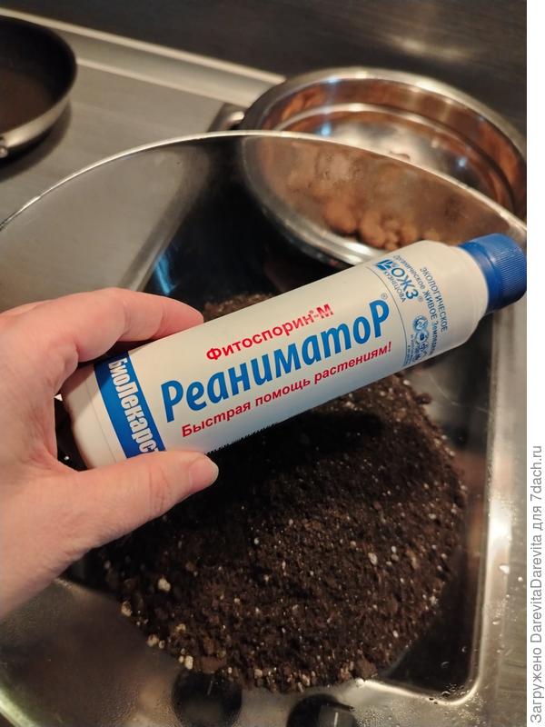 Земля после прожарки, микроорганизмы и плохие и хорошие там отсутствуют. Улучшаем микробиоту, фитоспорин из холодильника подойдет.