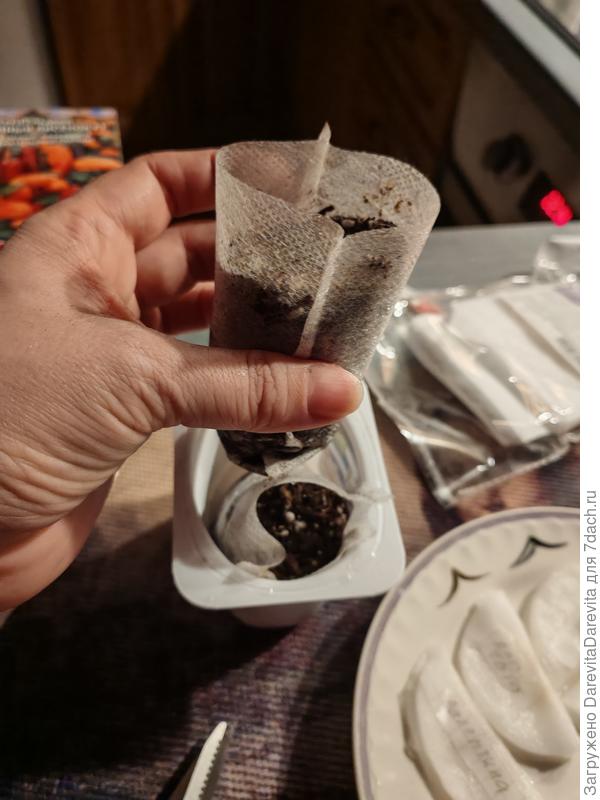 Пакетики из нетканки, альтернатива торфяным таблетками. Набила Агробалтом.